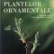 Steve Bradley – Tăierea plantelor ornamentale