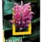 National Geographic – Hawaii (Colecţia Adevărul)