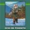 Fănică Voinea Ene – Ochi pe poieniţa ascunsă