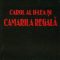 Petre Ţurlea – Carol al II-lea şi Camarila Regală