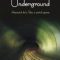 Haruki Murakami – Underground. Atentatul de la Tokio şi spiritul japonez