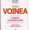 Liviu Voinea – Sfârşitul economiei iluziei