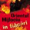 Stewart Ross – Orientul Mijlociu în flăcări