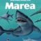 Larousse – Marea