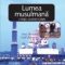 Larousse – Lumea musulmană. O religie, societăţi multiple