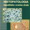 Adrian Streinu Cercel – Histopatologia hepatitelor virale