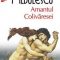 Radu Aldulescu – Amantul Colivăresei